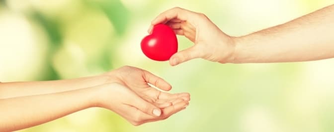 Фото: З відкритих джерел