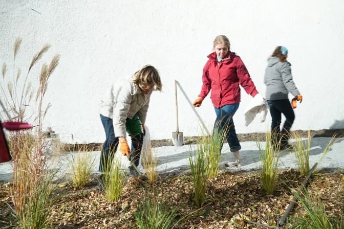 Поблизу банку їжі «Тарілка» у Львові створюють зелений простір