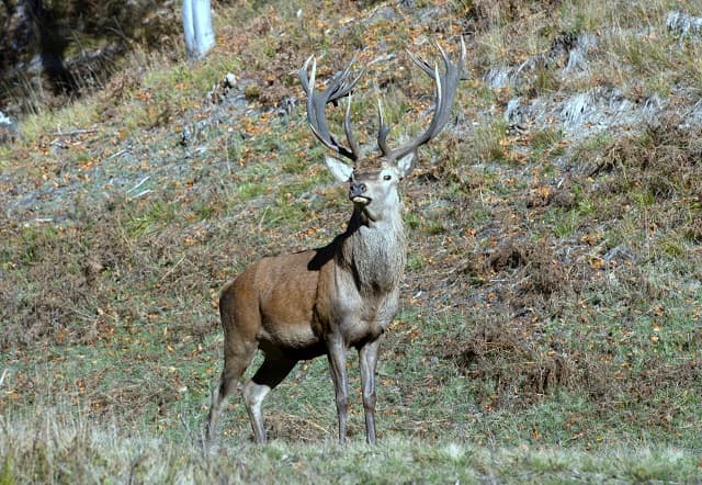 Фото: ЗМУЛМГ