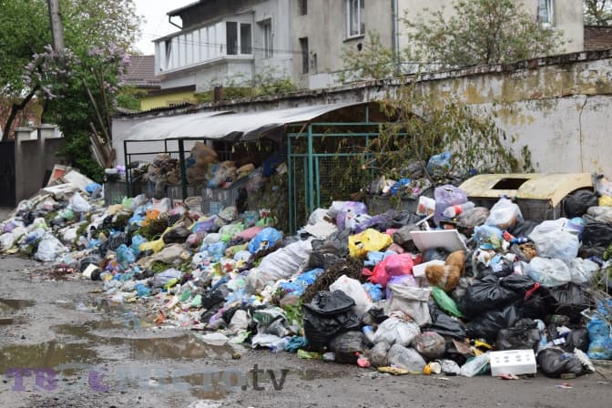 У Львові дезинфікуватимуть переповнені сміттям майданчики