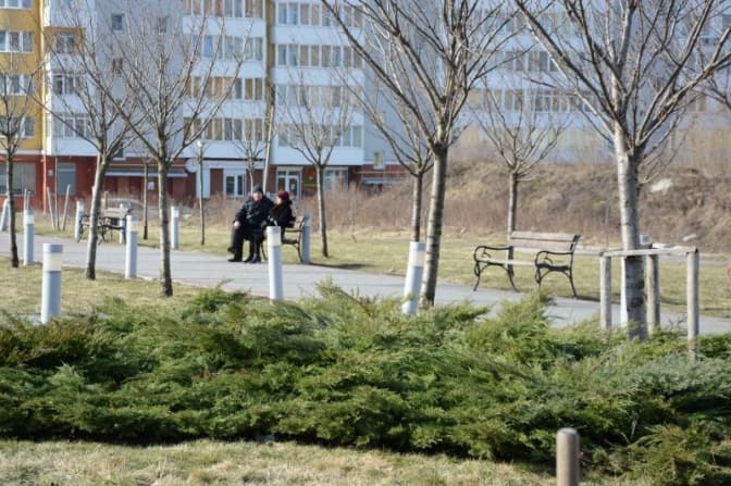 На Сихові у Львові запустять пілотний проєкт з обліку дерев