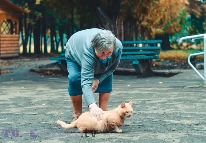 У Львові голоси мешканців будинків престарілих зазвучать у виставі