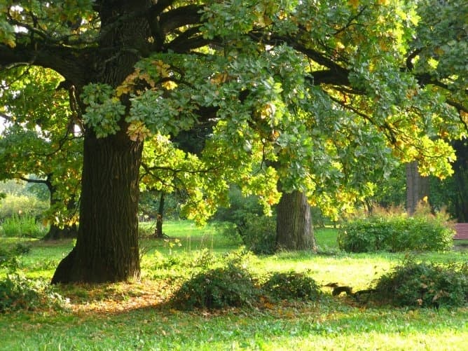 Фото з відкритих джерел