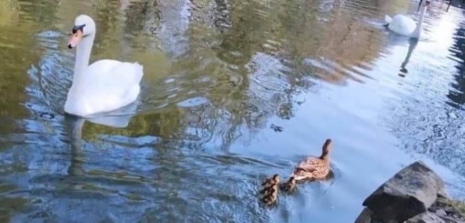 Фото: фейсбук-сторінка Львів. Містобудування