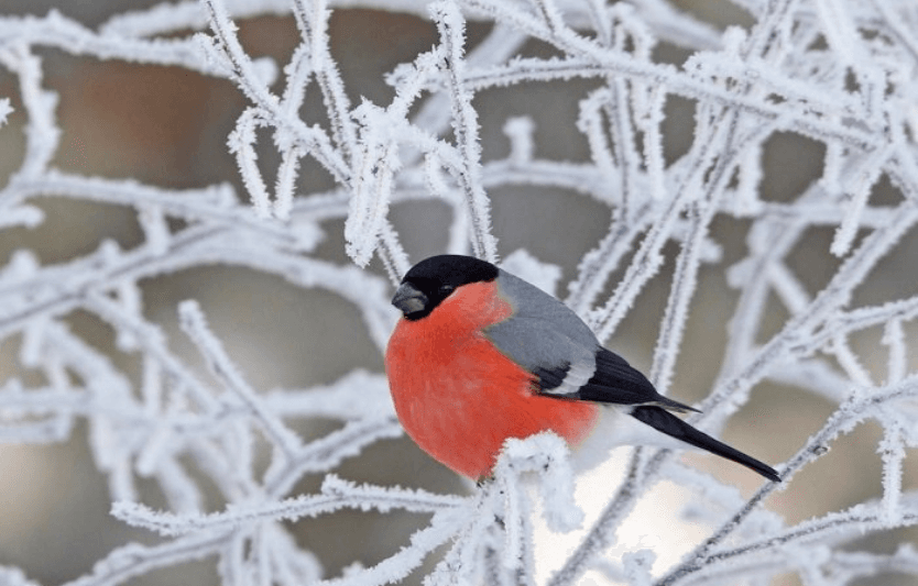 Фото: Яворівський національний природний парк