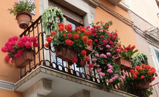 У Львові обирають найзеленіші балкони та підвіконня — податися можна ще два дні
