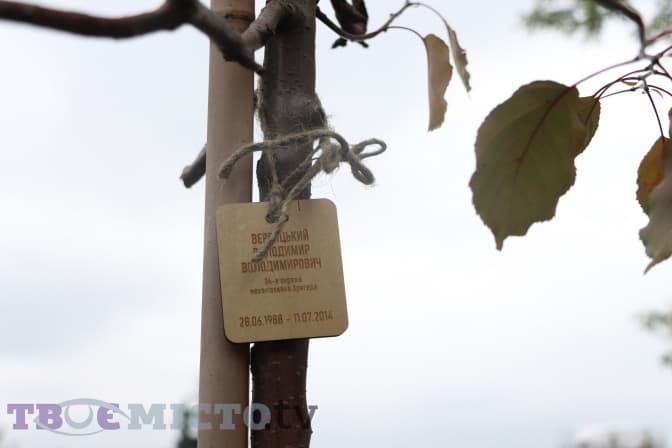 У Львові висадили парк пам'яті загиблих героїв російсько-української війни. Відео