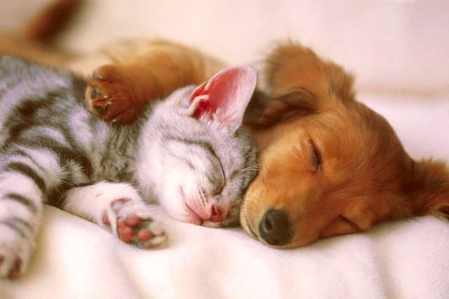 фото умовне