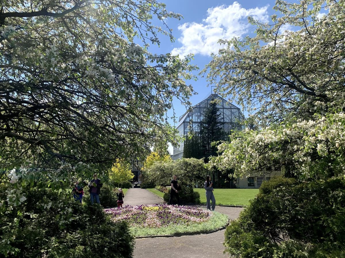 Ботанічний сад у Львові відкриває сезон відвідувань: графік і ціни