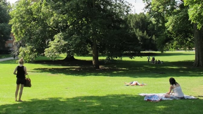 фото умовне