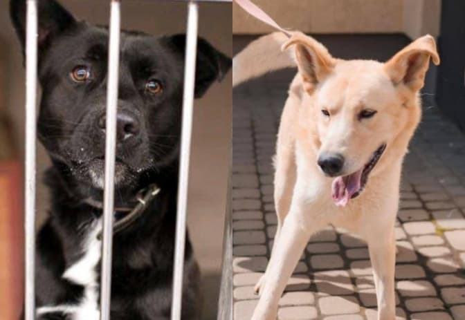 Фото: Андріана Байло у Facebook