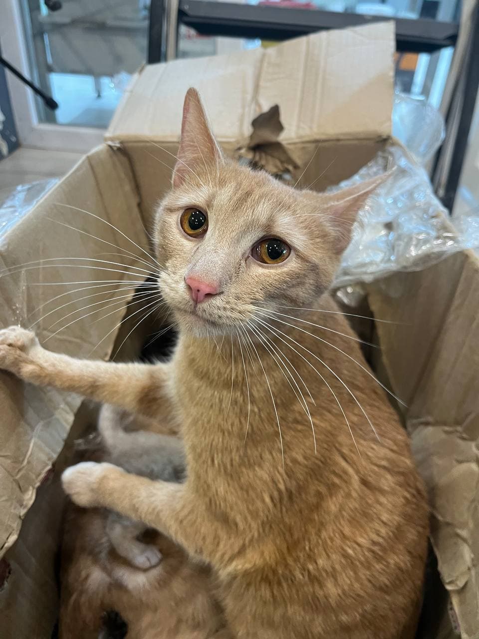 фото: Домівка