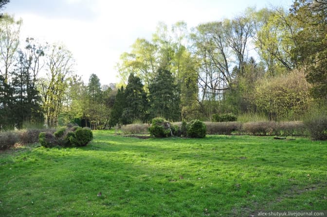 фото: Олександр Шутюк