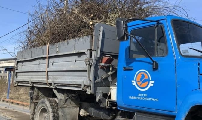 У Львові приймають гілля з обрізки дерев для переробки