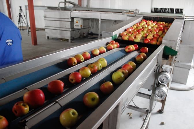 На Львівщині відкрили сучасне фруктосховище. Фото