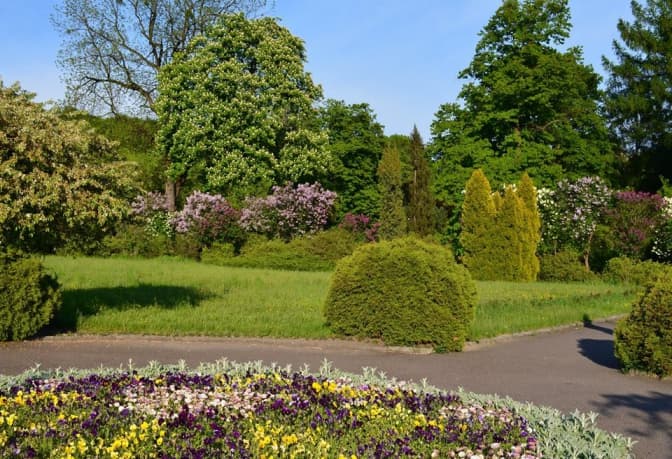 Фото: facebook-сторінка «Ботанічний сад ЛНУ ім.І.Франка»