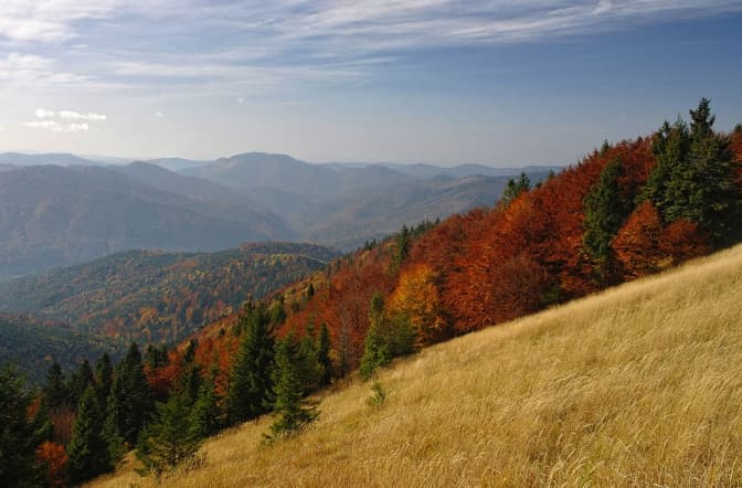 На Львівщині планують розширити межі «Сколівських Бескидів»
