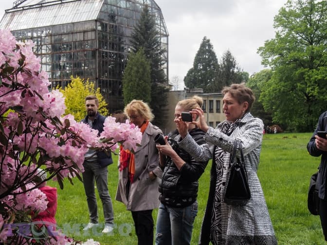 Львів'ян кличуть на перший День відкритих дверей у Ботанічному саду