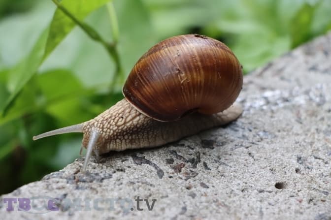 Фото: Анна Чистякова