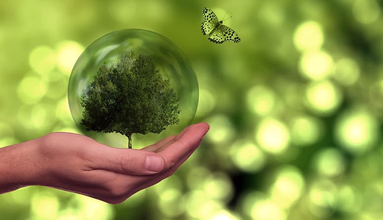 Жителі Львівщини можуть в реальному часі перевірити якісь повітря. Як це зробити