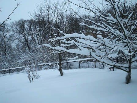 На Львівщині розслідують обставини смерті 13-річної дівчинки. Оновлено