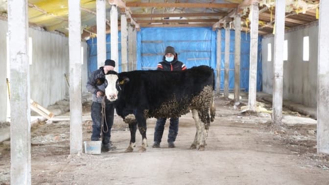 Фото: Дрогобицька міська рада