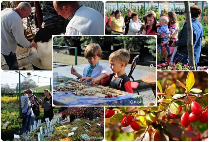 фото: plants-club.ua