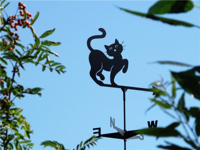 Усі на «Флюґери Львова». Що приготував фестиваль цьогоріч?