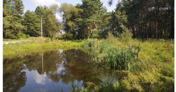 Ліси у Рудному стали місцевим заказником