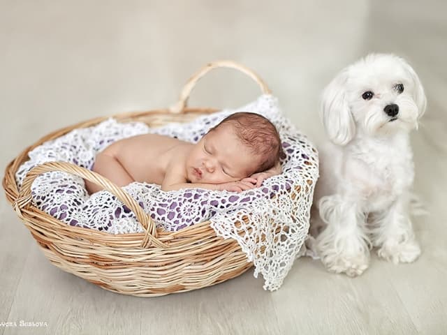 Кузьма та Стефанія. Які імена львів’яни обирають для дітей у 2022 році