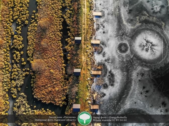 Фото заповідника Розточчя перемогло у конкурсі, присвяченому пам’яткам природи