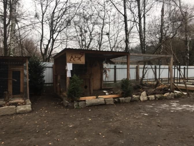 Львів’ян просять допомогти підопічним Домівки врятованих тварин. Фото