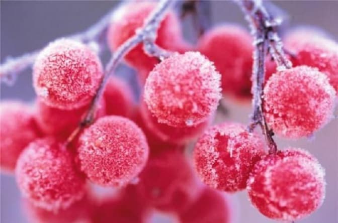 Сьогодні у Львові мороз до -3, завтра – сніг