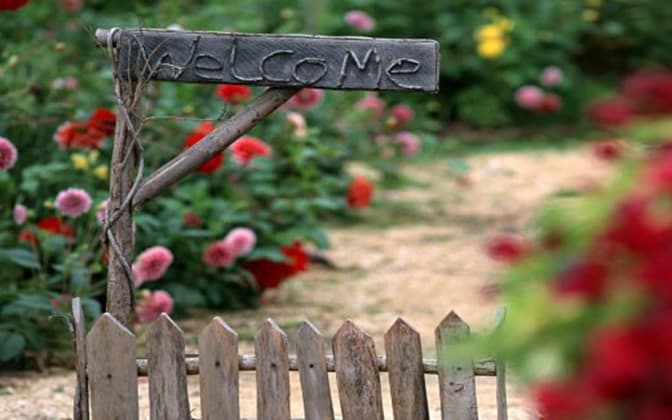 Як облаштувати внутрішнє подвір'я у Львові. Інфографіка