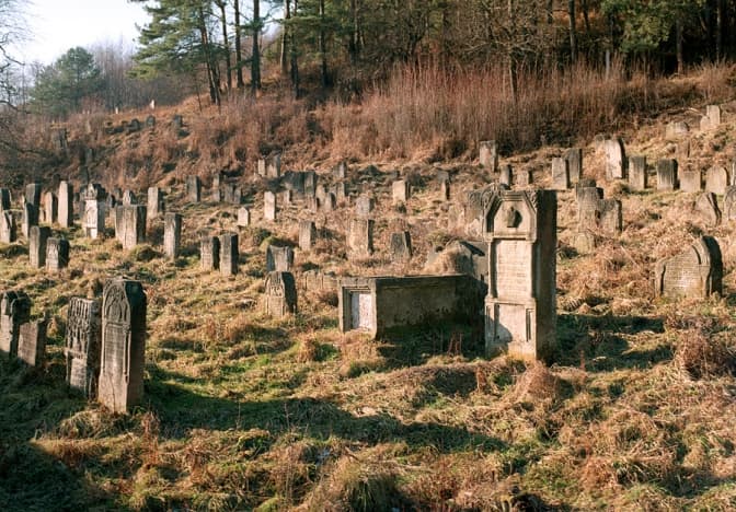 Фото: ops.alne.info