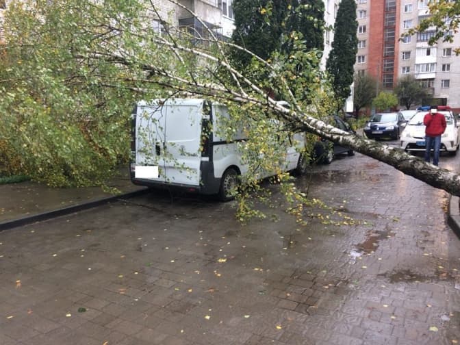 Фото: патрульна поліція Львова