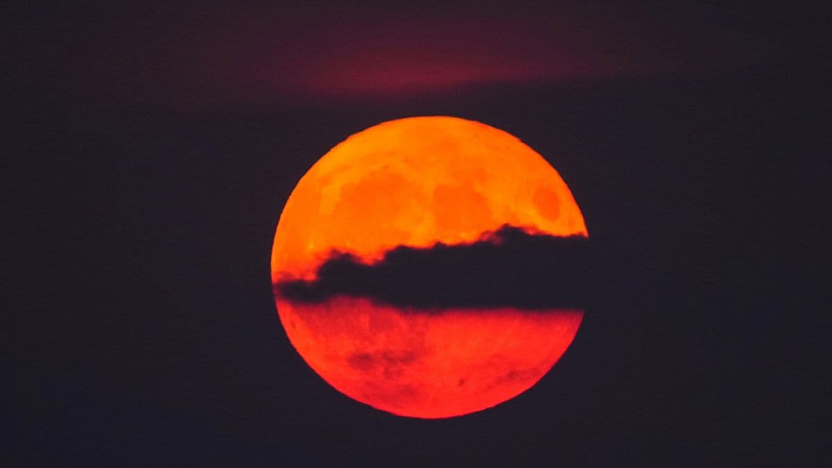 Сьогодні ввечері у небі зійде супермісяць року. Коли і де спостерігати