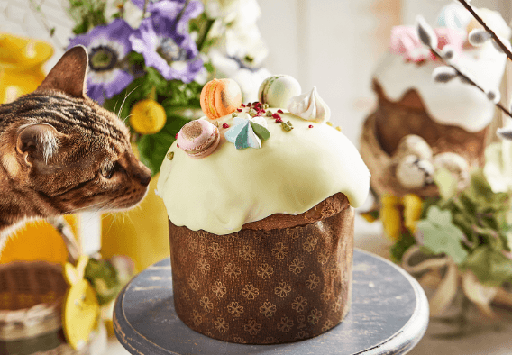 На Великдень – удома. Де і за скільки у Львові замовити паски з доставкою