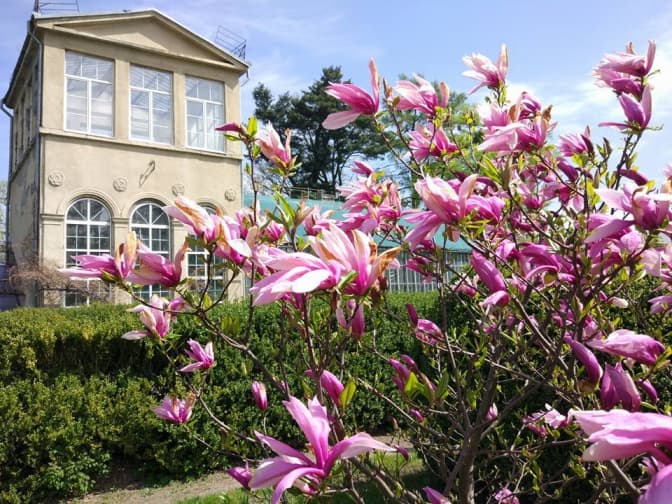 фото: Ботанічний сад ЛНУ ім. Івана Франка