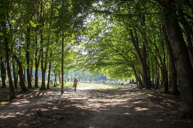 фото: photo-lviv.in.ua