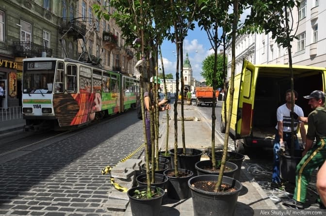 фото: Олександр Шутюк