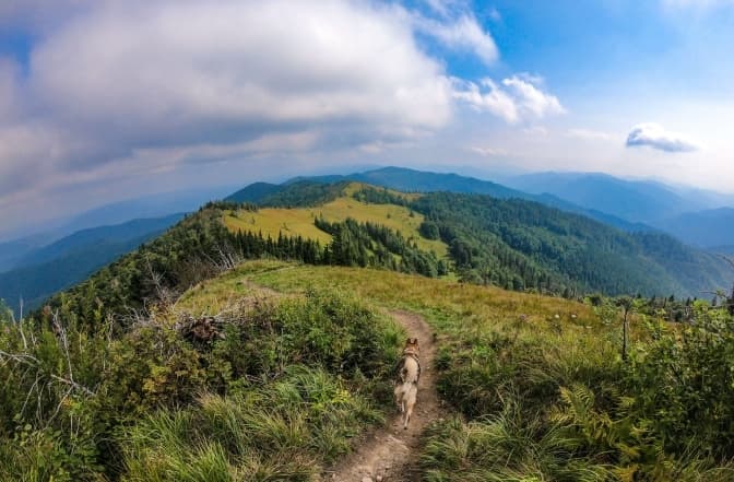 Фото умовне/ гора Парашка