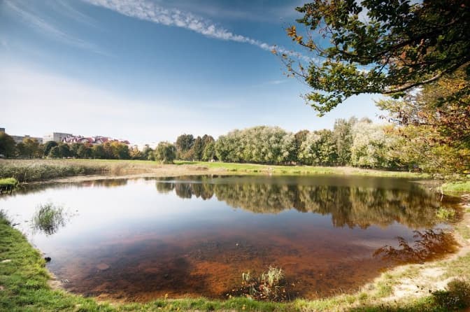 Озеро в парку «Горіховий гай» кілька років тому (фото: panoramio.com)