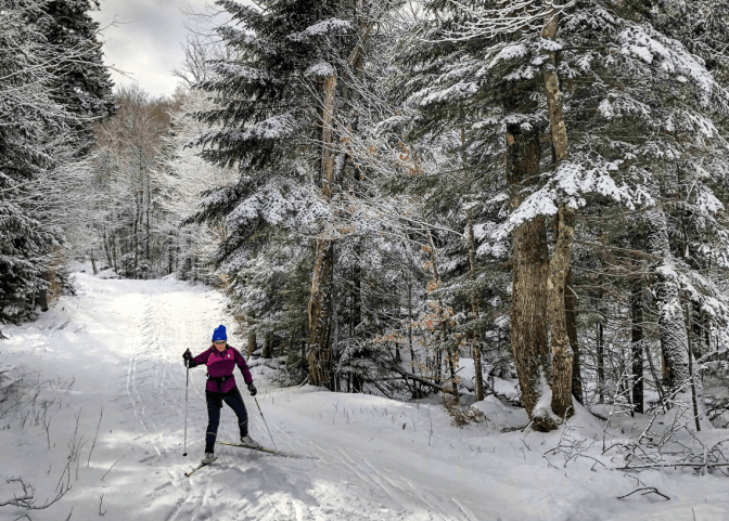 Photo by phillip belena on Unsplash