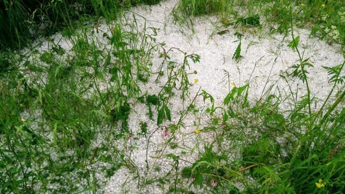 У Карпатах випав град розміром з вишню. Фото