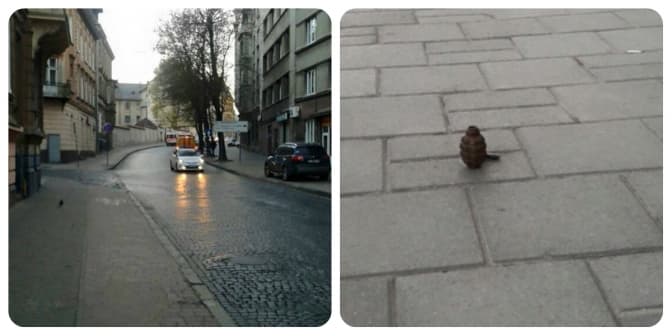 фото: facebook (Igor Zinkevych)