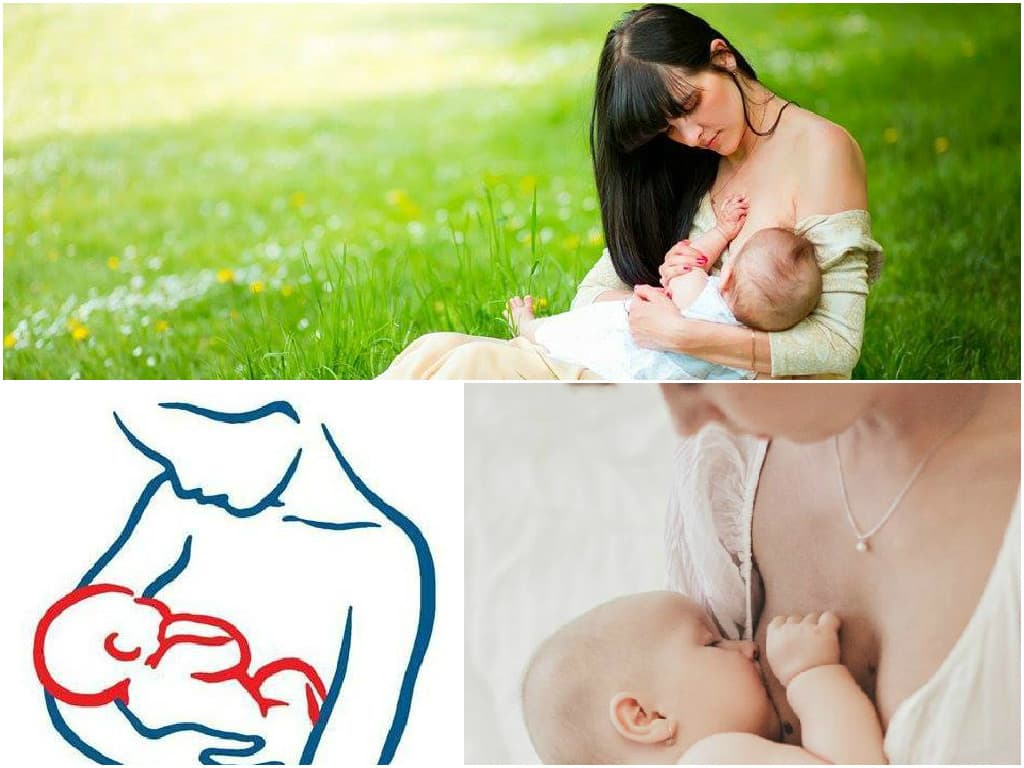 4 переваги грудного вигодовування: інфографіка