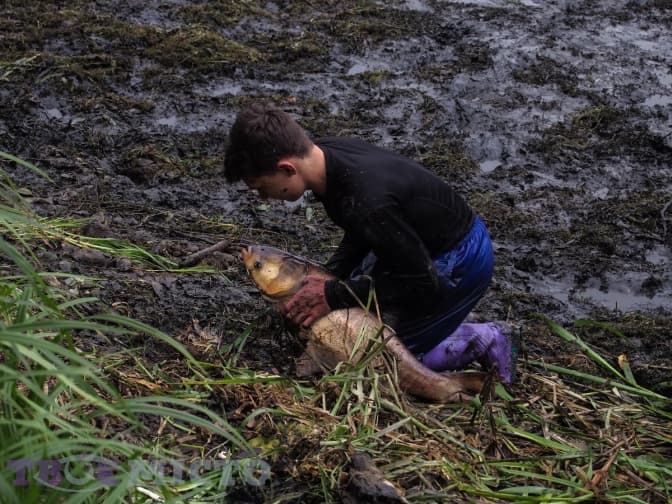 фото: Оля Василець