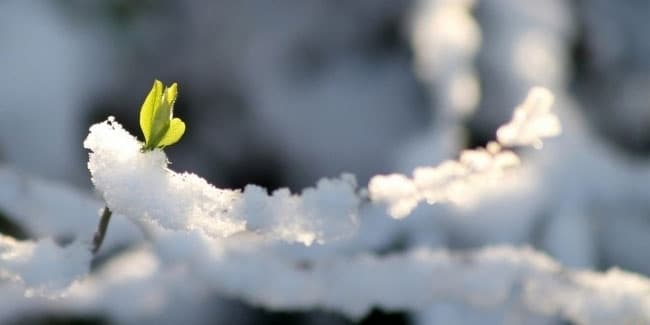 Умовне фото