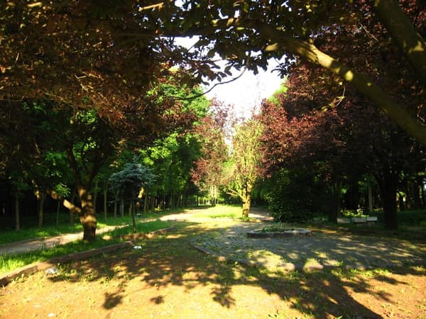 У трьох парках Львова покращать благоустрій. Перелік робіт